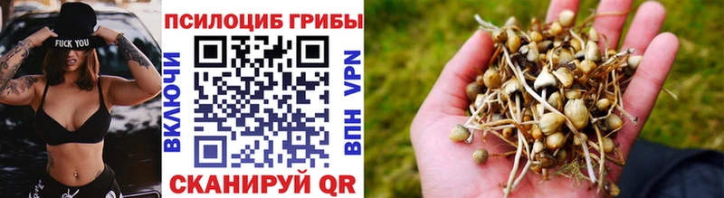 даркнет сайт  Кондопога  Галлюциногенные грибы мухоморы 