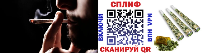 магазин продажи наркотиков MEGA ссылки МАРИХУАНА конопля Кондопога